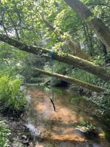 A photo of a shallow, sandy bottom woodland stream with trees all around the banks. Two tree boughs are suspended vertically over the water and a swing made from blue rope and a stick is suspended from one bough.