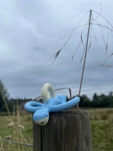 Photo of a blue plastic monkey with a white face and tail face down on top of a wooden fence post. His face is hanging over the edge of the post, looking down at the ground. Behind him is a tall piece of grass, and a field and woodland in the background. The sky is grey and glum.