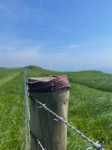 Photo of a wooden fence post on a cliff edge with green grass and bright blue sky. There is some barbed wire fence visible. Wrapped around the top of the fence post is a brown fabric belt.