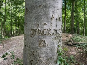 Photo of part of a beech tree trunk. The name JACK is carved into it and below that, the number 73. In the background are trees and a bare woodland floor.