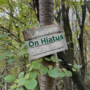 Photo of some woods with a sign affixed to a silver birch tree trunk saying 'On Hiatus'. 