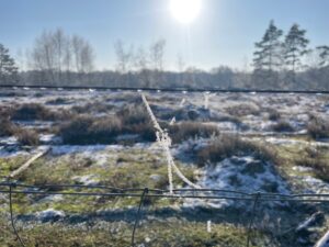 Photo of a cobweb strung between two pieces of wire. It is shaped like a knot with a strand going above, and two reaching below. In the background is a wintery common ground and a sun shining in a bright blue sky.