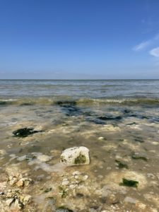 Picture of a stone being lapped by the sea.