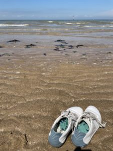 Pictures of some shoes on the sea shore