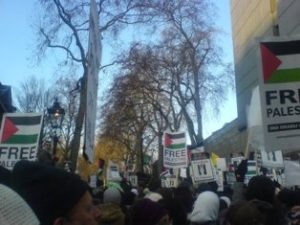 Photo of some 'Free Palestine' signs from a protest.