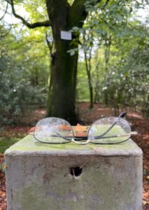 Photo of a pair of glasses resting on top of a rectangular concrete post. In the background is a woodland environment.