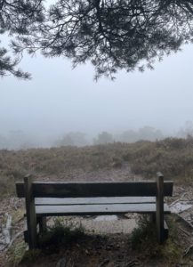 Photo of a wet bench at a view point in front of a valley. There are branches of a conifer tree above it. The valley is full of a thick mist, and you can just about see some tree tops through the cloud.
