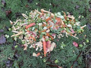 A pile of vegetables and peelings on some grass: carrots, potatoes, parsnips, and Brussel sprouts.