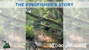 YouTube front card for the narrated version of The Kingfisher's Story. It is a rope swing over a river.