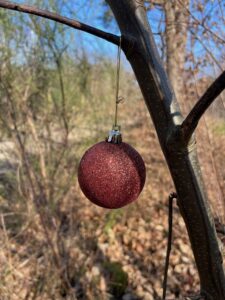 Photo of a red glittery bauble hanging from a branch of a tree.