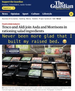 Screenshot of a Guardian article about vegetable shortages.