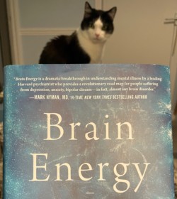 Photo of the book 'Brain Energy' by Christopher Palmer with my cat sat behind it.