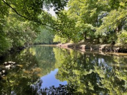 A view of a quiet river (Lea) banked by trees.